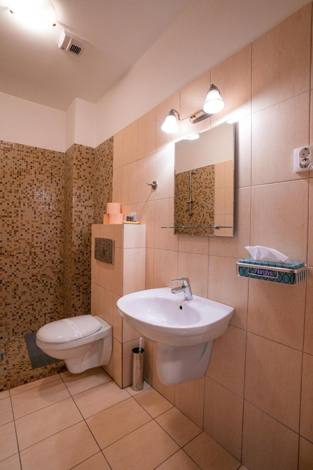 Pensiunea Gasthaus Alte Post Sighişoara Extérieur photo