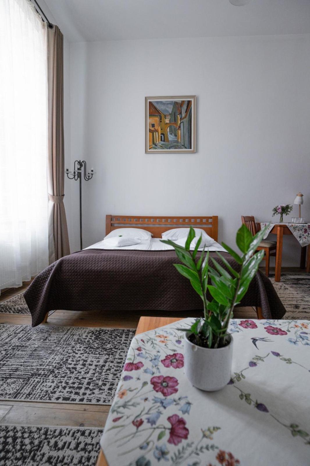 Pensiunea Gasthaus Alte Post Sighişoara Extérieur photo