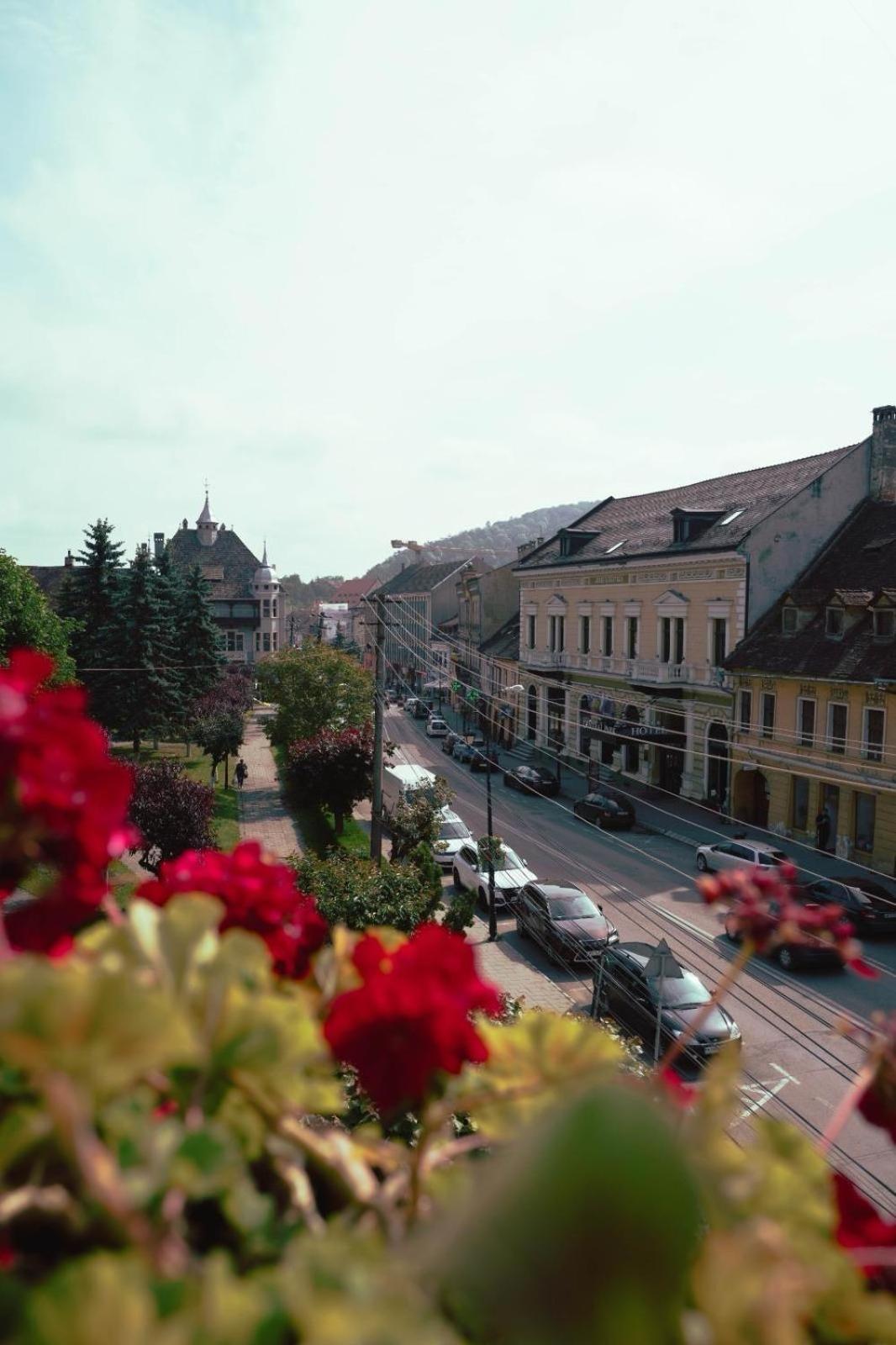 Pensiunea Gasthaus Alte Post Sighişoara Extérieur photo